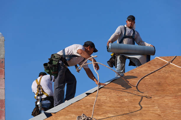Best Roofing Contractors for Homes  in Rice Lake, MN